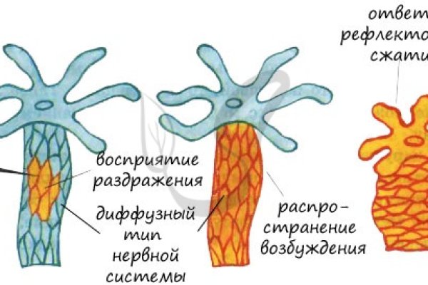 Кракен даркнет зеркало